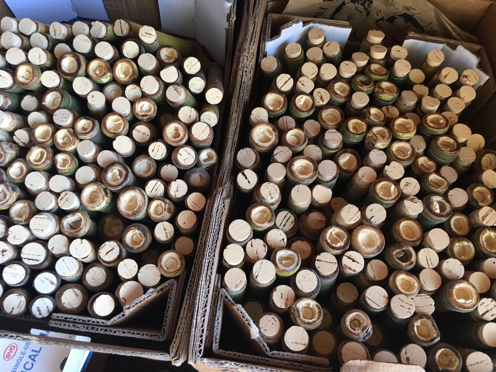 Bamboo Product 2